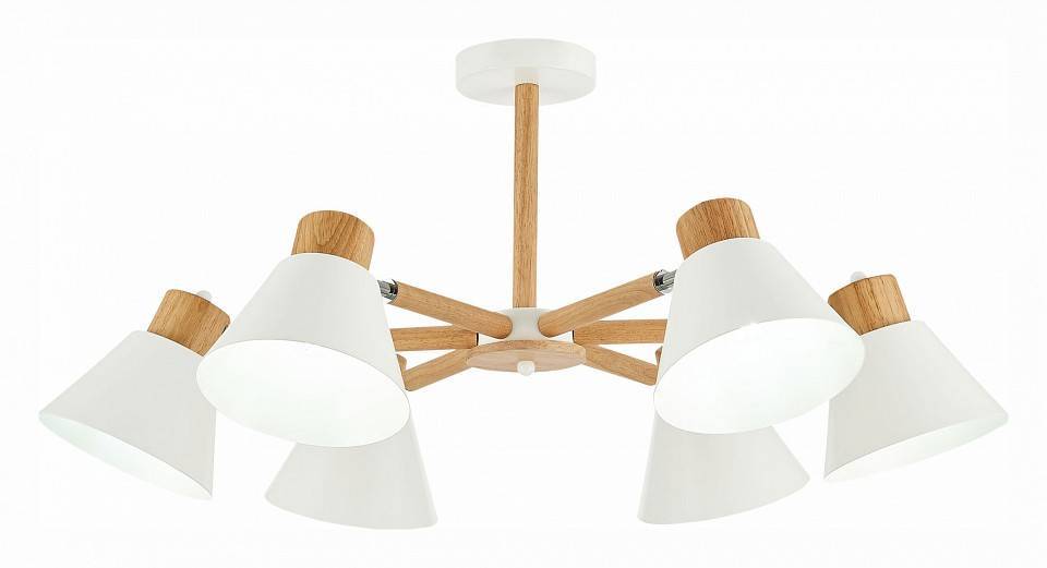 Люстра на штанге EVOLUCE Buve 6 ламп SLE103702-06