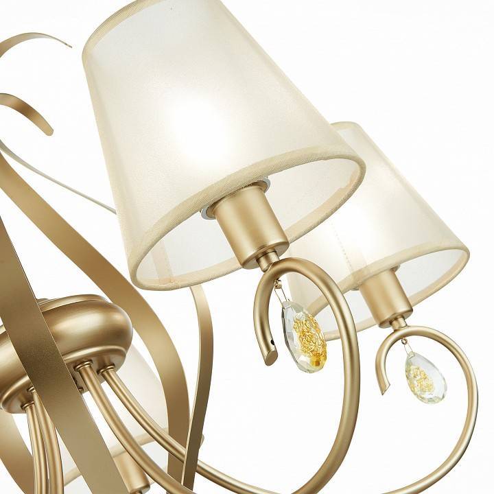 Подвесная люстра EVOLUCE Foggia 5xE14 SLE111403-05