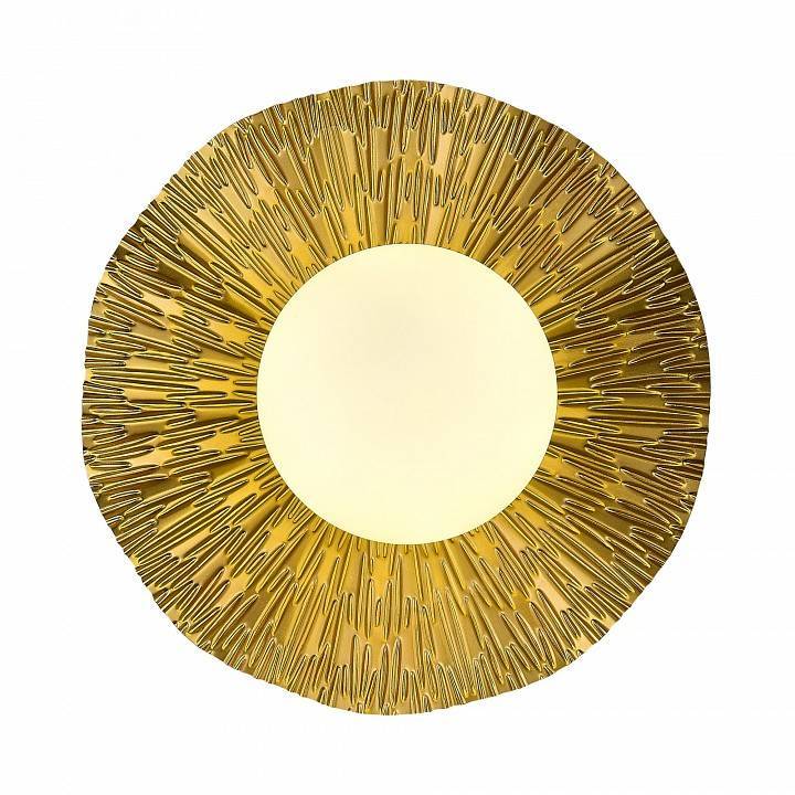 Накладной светодиодный светильник EVOLUCE Lorea 30 Вт SLE1196-301-01