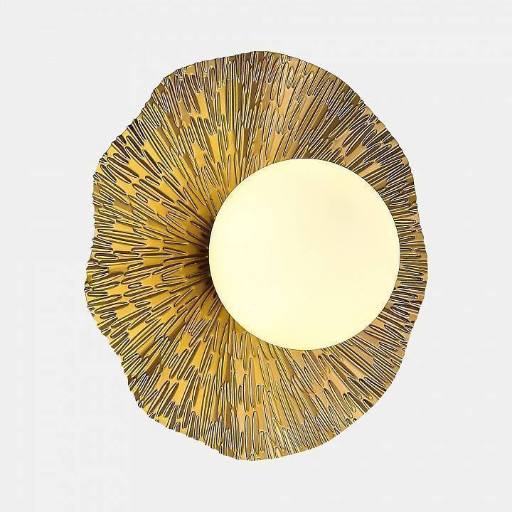 Накладной светодиодный светильник EVOLUCE Lorea 30 Вт SLE1196-301-01