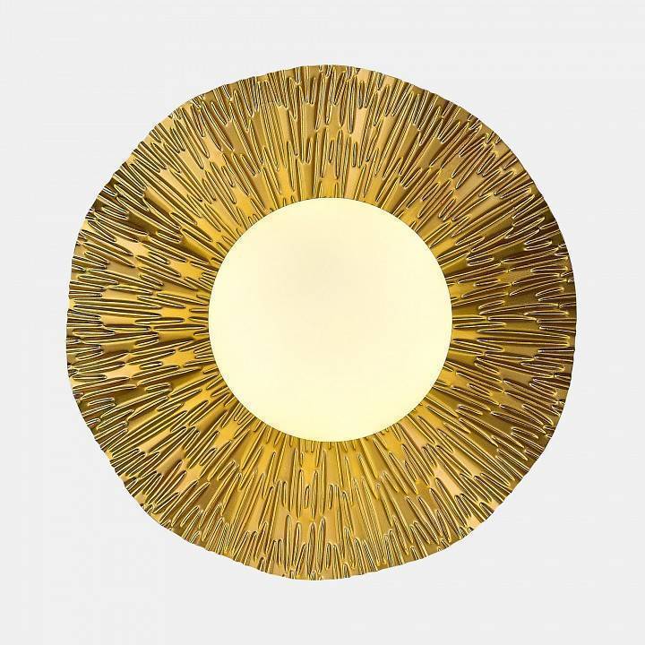 Накладной светодиодный светильник EVOLUCE Lorea 30 Вт SLE1196-301-01