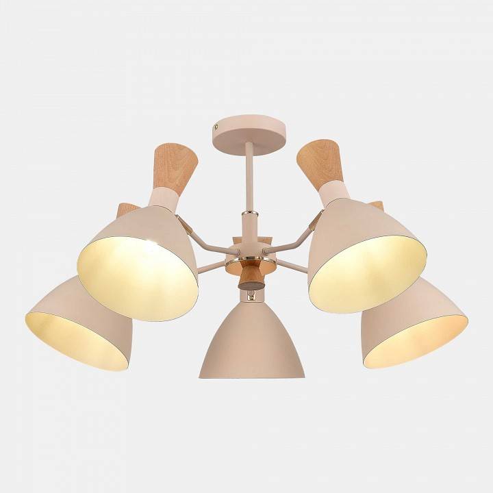 Люстра на штанге EVOLUCE Vista 5 ламп SLE1256-502-05