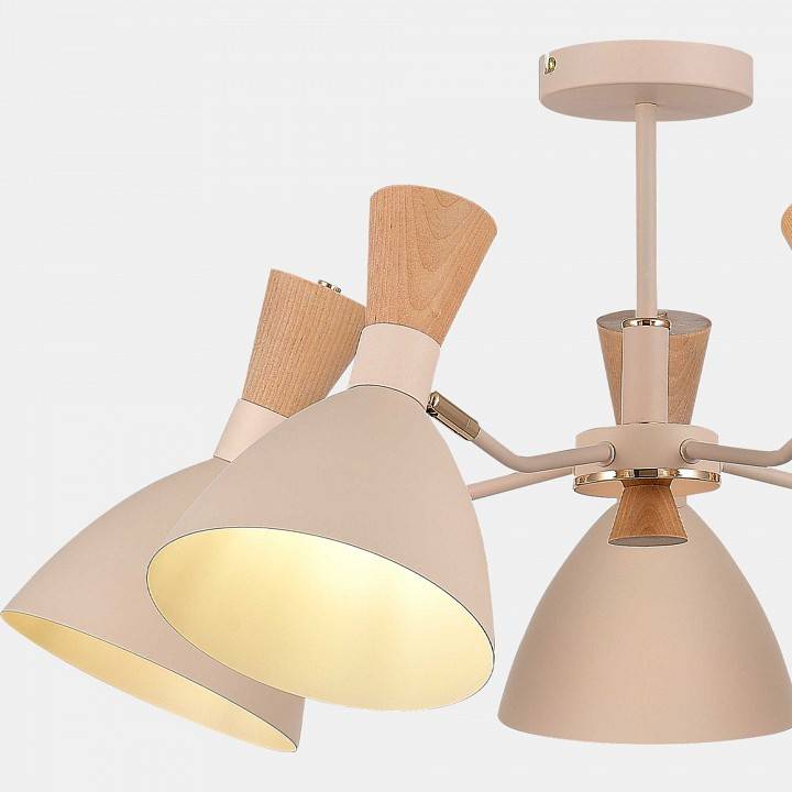 Люстра на штанге EVOLUCE Vista 5 ламп SLE1256-502-05