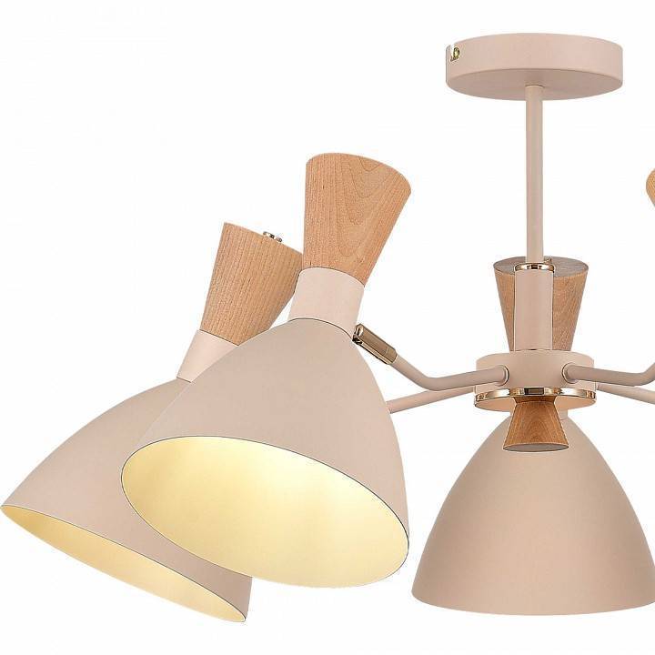 Люстра на штанге EVOLUCE Vista 5 ламп SLE1256-502-05