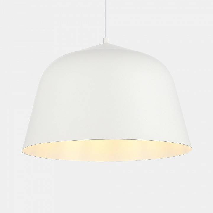 Подвесной светильник EVOLUCE Blank SLE1805-503-01