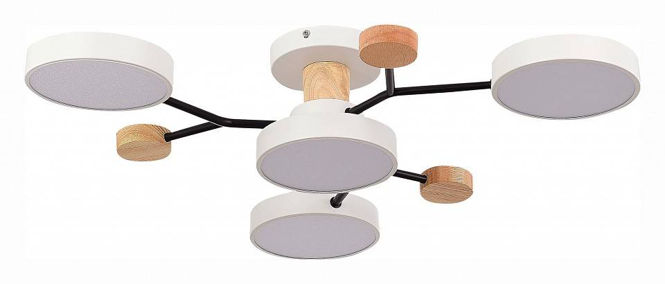 Потолочная люстра EVOLUCE Faema 4 лампы SLE6006-502-04