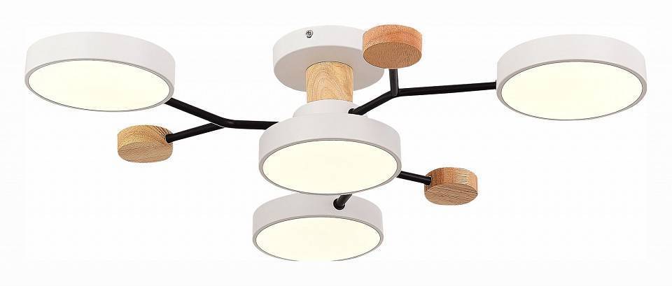 Потолочная люстра EVOLUCE Faema 4 лампы SLE6006-502-04