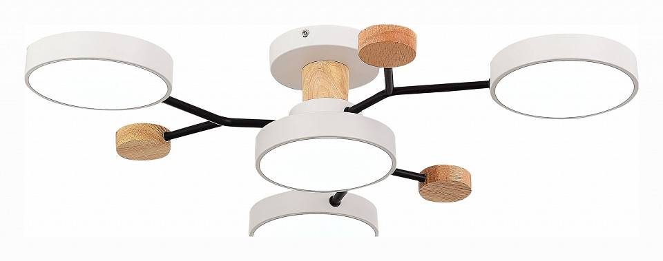 Потолочная люстра EVOLUCE Faema 4 лампы SLE6006-502-04