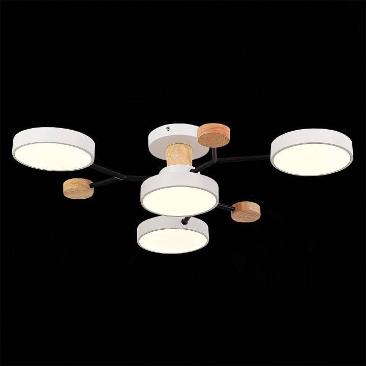 Потолочная люстра EVOLUCE Faema 4 лампы SLE6006-502-04