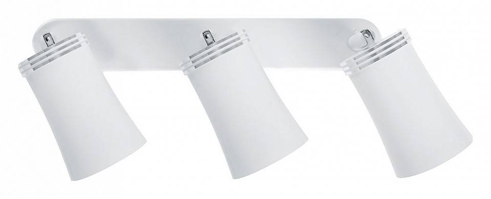 Спот Feron Barre 41484