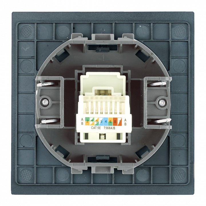 Розетка Ethernet RJ-45 без рамки Stekker Мия 50450