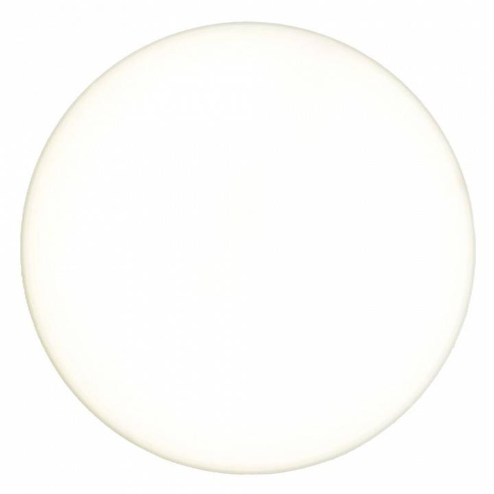 Накладной светильник Feron AL266 51300