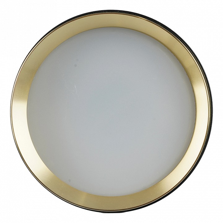 Накладной светильник Feron  52021