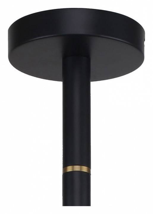 Люстра на штанге Favourite Eternity 2766-8P