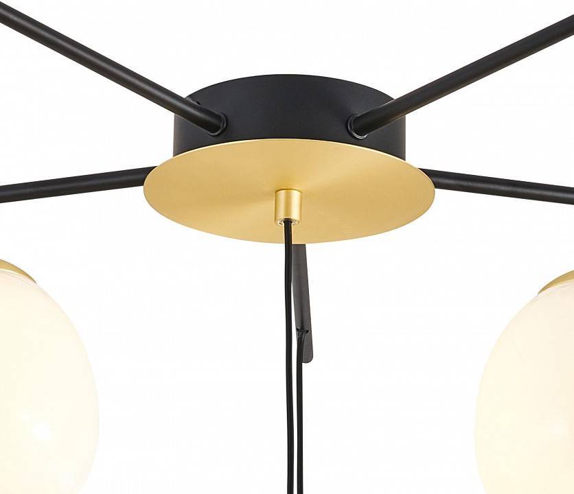 Потолочная люстра Favourite Paramount 3047-6P