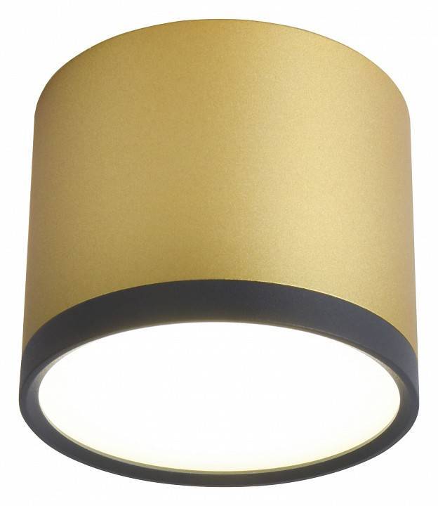 Накладной светильник Favourite Baral 3082-2C