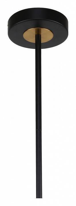 Люстра на штанге F-promo Vials 3090-6P