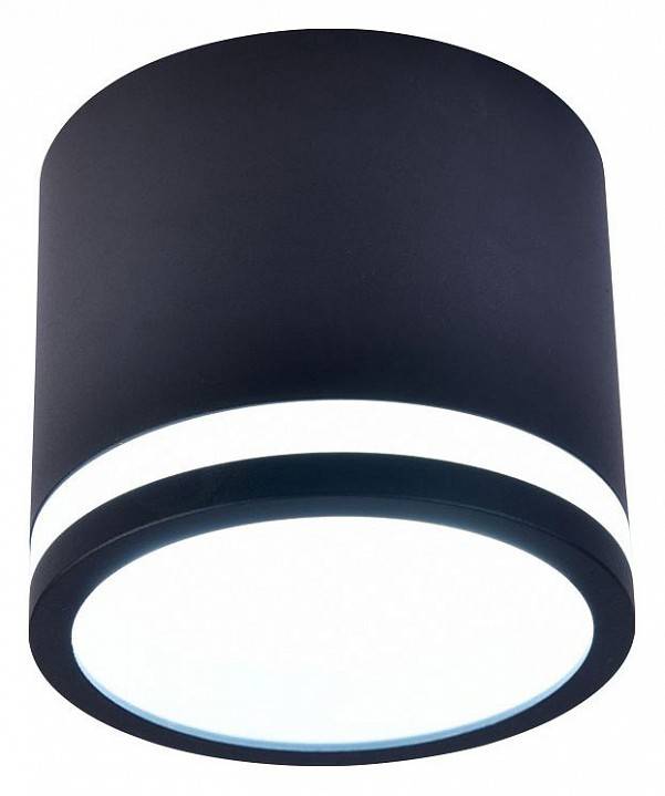 Накладной светильник Favourite Festum 4212-1C