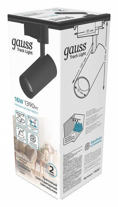 Светильник на штанге Gauss TR TR067