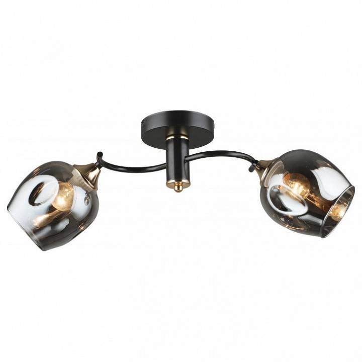 Светильник на штанге Imex MD.5963 2 лампы кофе золото MD.5963-2-S-COFFEE+FGD