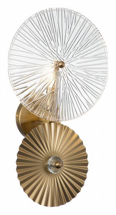 Накладной светильник Indigo Miele Brass 12021/B/1W Brass