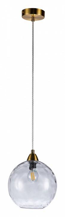 Подвесной светильник Indigo Memoria 11003/1P Clear