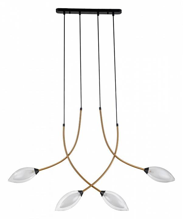 Подвесной светильник Indigo Fiore 13001/4P Black