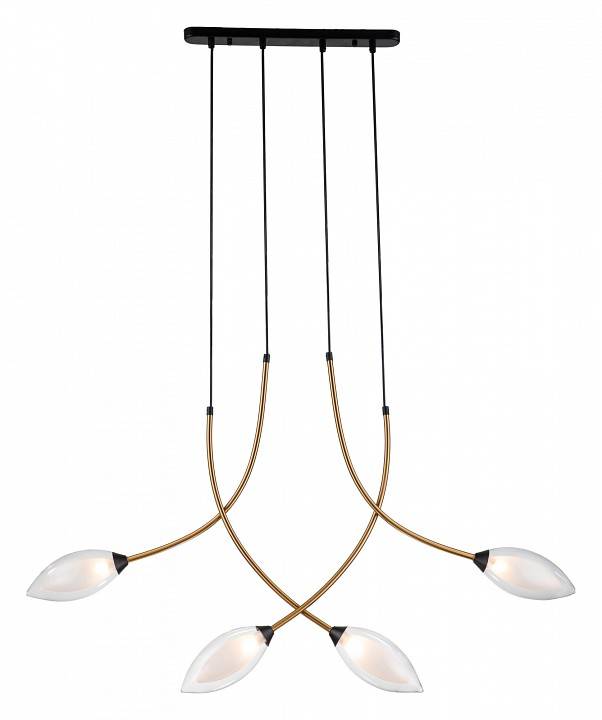 Подвесной светильник Indigo Fiore 13001/4P Black