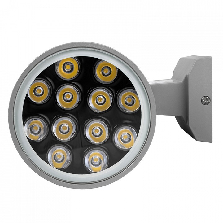 Накладной светильник Jazzway  PWL-300110/30D 2x12w 6500K  GR