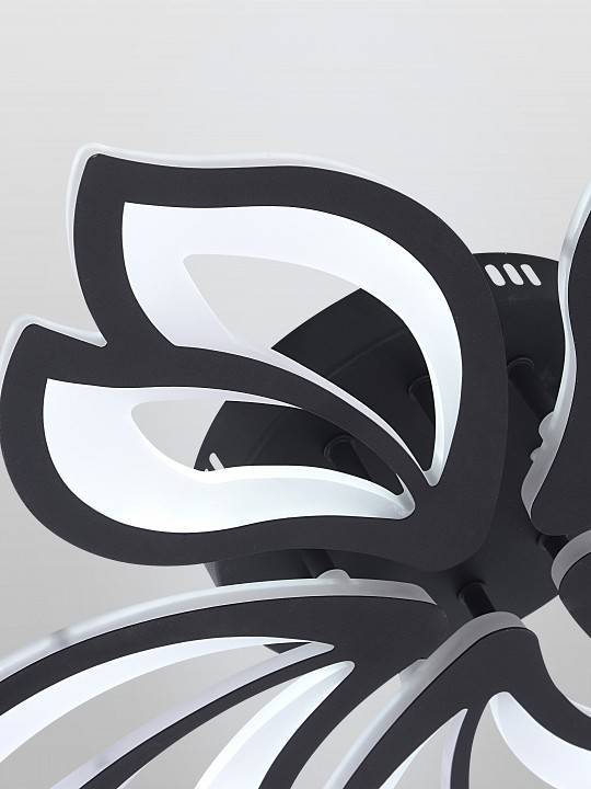 Потолочная люстра Natali Kovaltseva Fortuna LED LAMPS 81107/5C