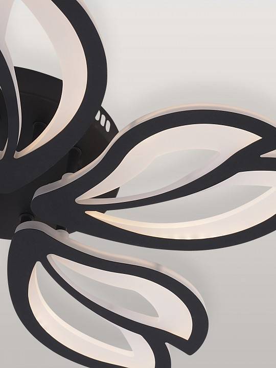 Потолочная люстра Natali Kovaltseva Fortuna LED LAMPS 81107/5C