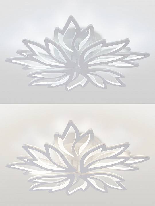 Потолочная люстра Natali Kovaltseva RIF LED LAMPS 81118/6C