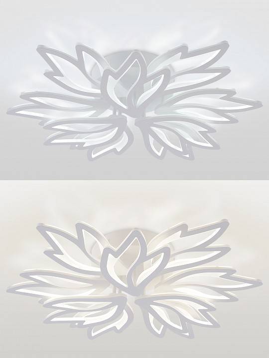 Потолочная люстра Natali Kovaltseva RIF LED LAMPS 81118/7C