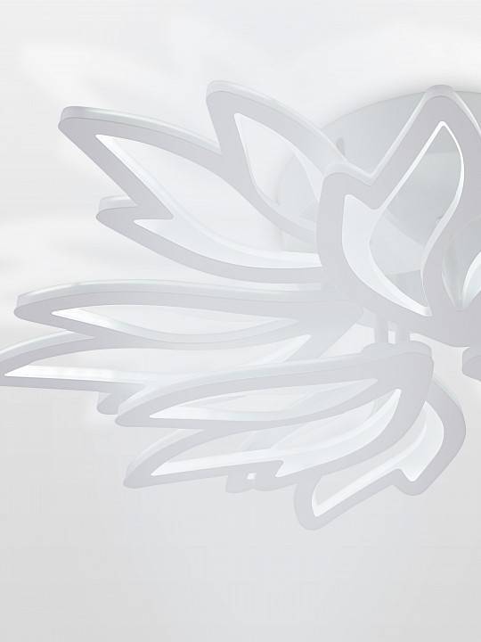 Потолочная люстра Natali Kovaltseva RIF LED LAMPS 81118/7C