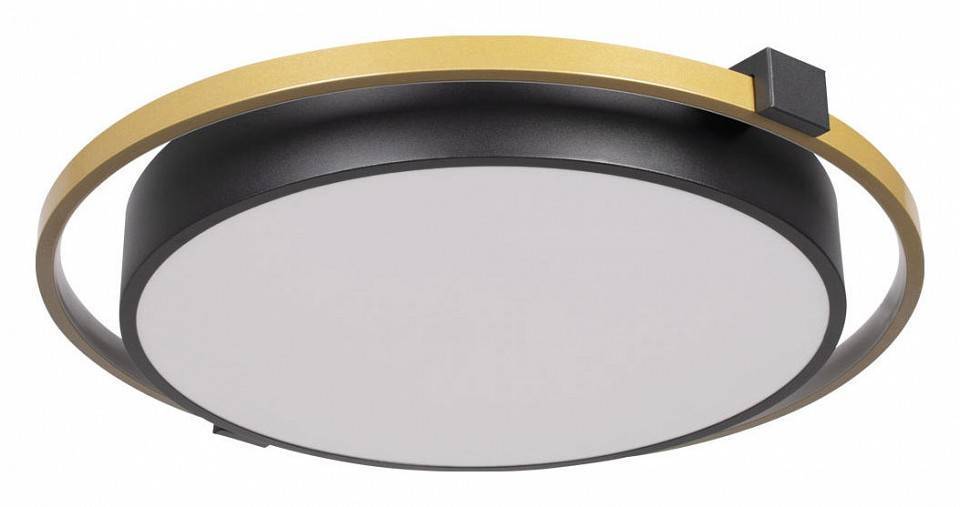 Накладной светильник Loft It Mike 10170