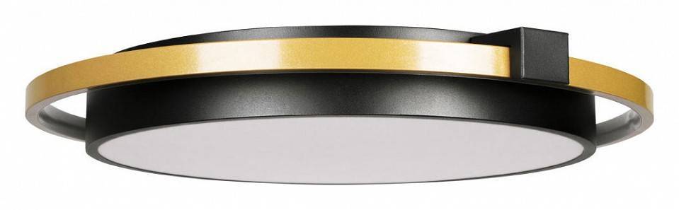 Накладной светильник Loft It Mike 10170