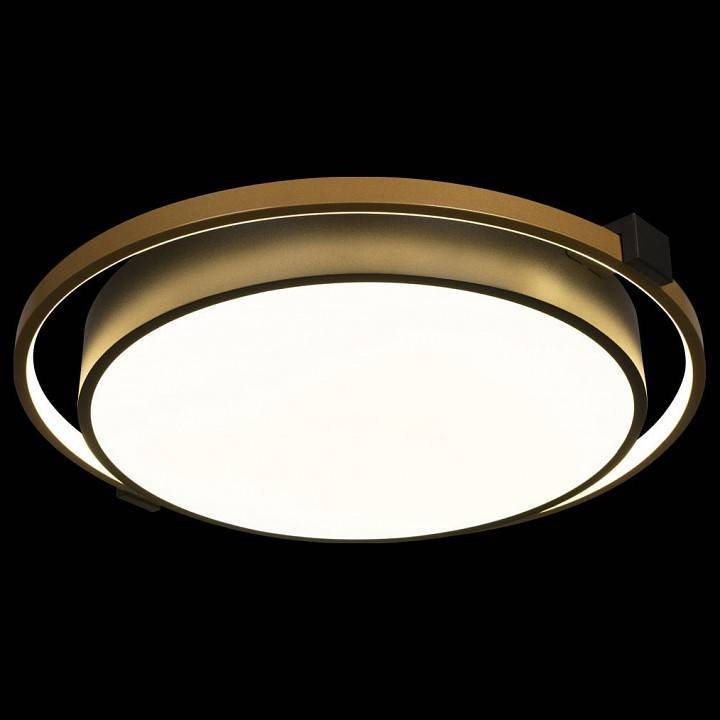 Накладной светильник Loft It Mike 10170