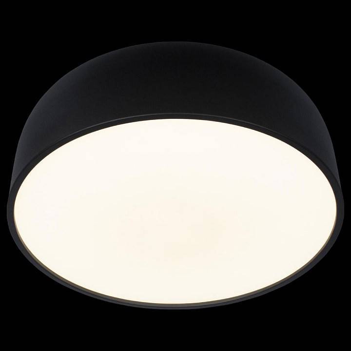 Накладной светильник Loft it Axel 10201/480 Black