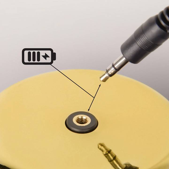 Настольная лампа декоративная Loft It Brothers золотая 10233/A Gold