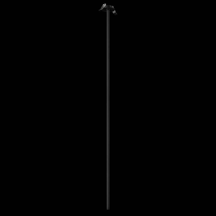 Встраиваемый светильник на штанге Loft it Cane 10359/1200 Black