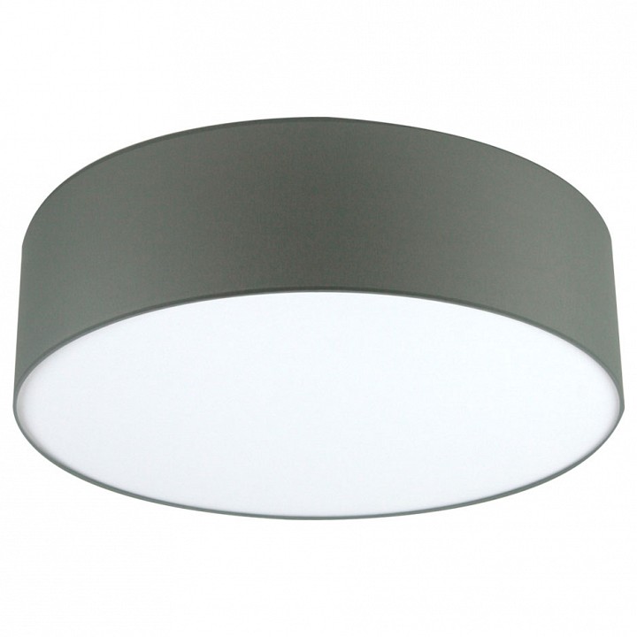 Накладной светильник Lighthall Camerona 65 LH022028