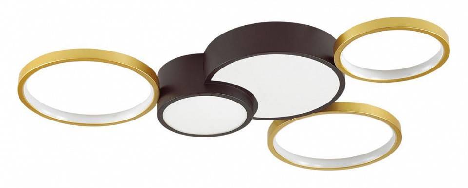 Потолочная светодиодная люстра Lumion Norbert 5255/80CL