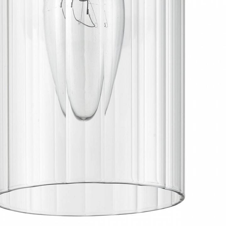 Подвесной светильник Lumion Isha 8102/1A