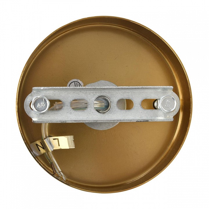 Подвесная люстра Lumion MODERNI 8320/5