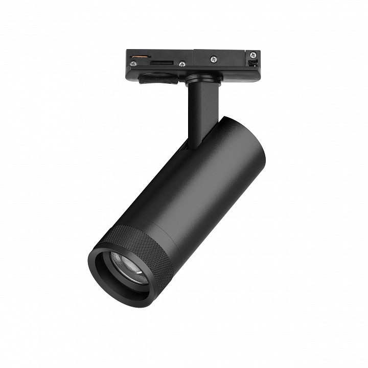 Светильник на штанге Lightstar Canno Pro C4127SS