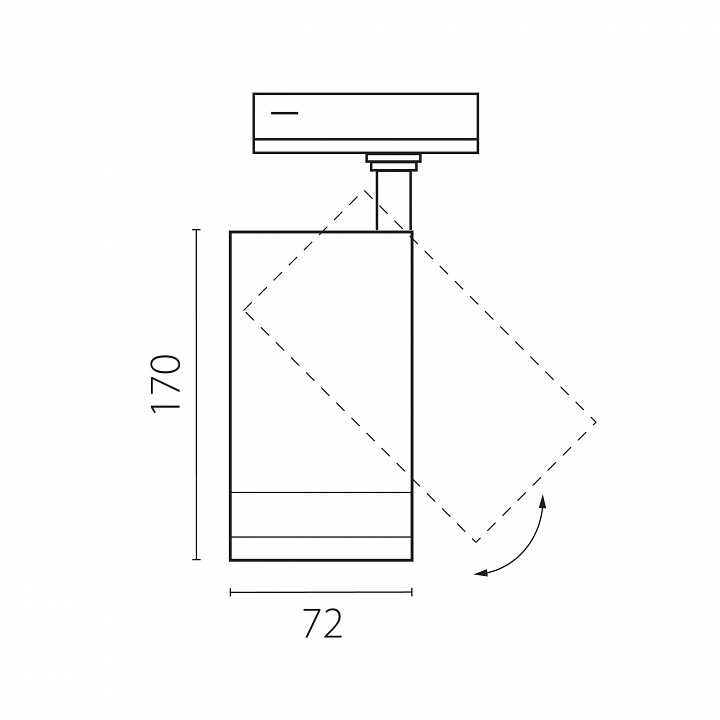 Светильник на штанге Lightstar Canno Pro C4206SS