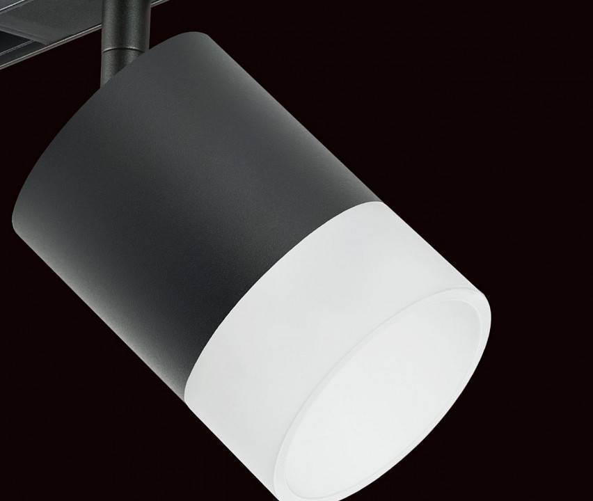 Светильник на штанге Lightstar Rullo PRO348781