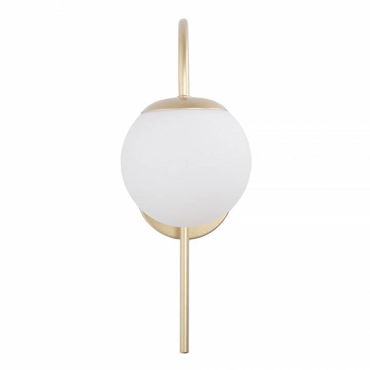 Бра MyFar Cassia MR2350-1W