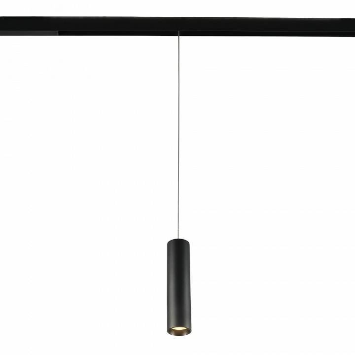 Подвесной светильник MyFar Technical MT0221-20W3K-S-B