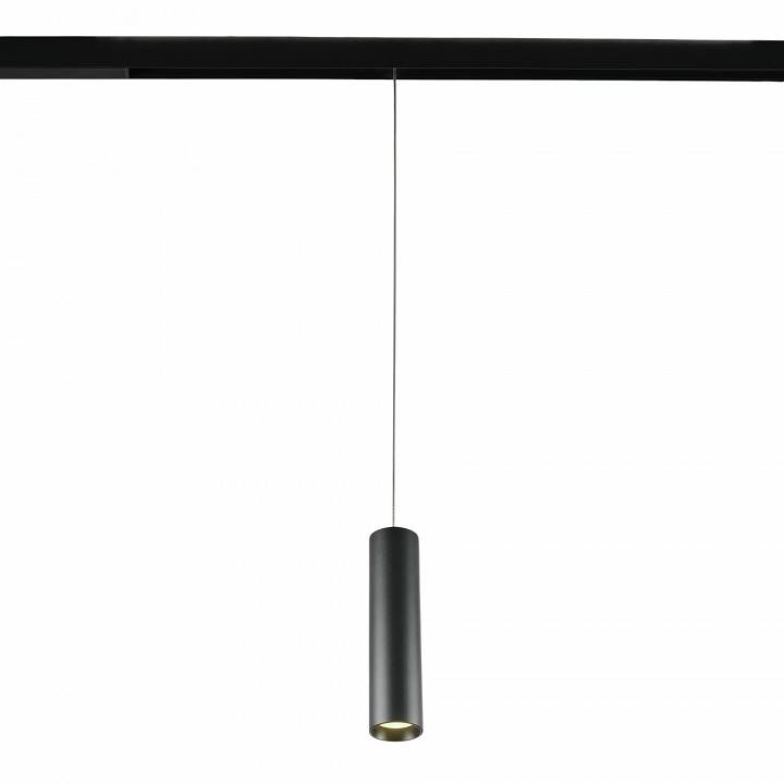 Подвесной светильник MyFar Technical MT0221-20W3K-S-B